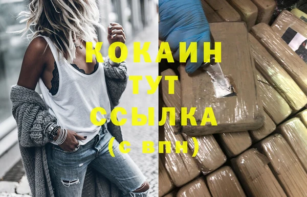 гашик Елизово
