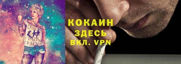 сатива Елабуга