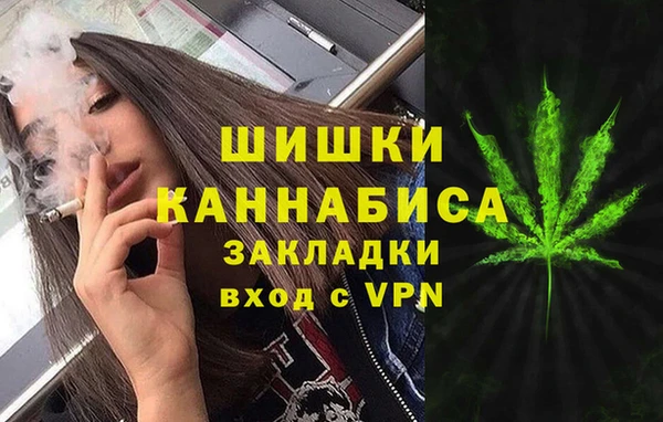 гашик Елизово