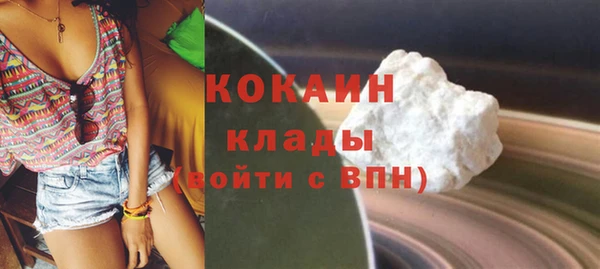 тгк Ельня