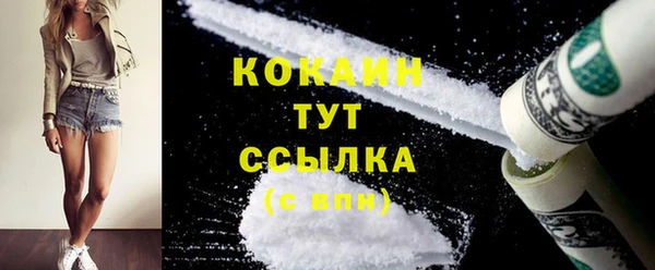 тгк Ельня