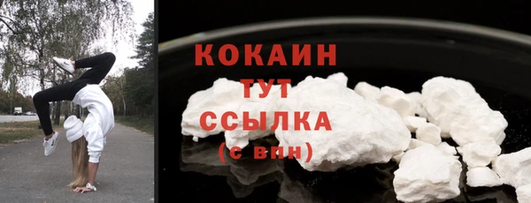 сатива Елабуга