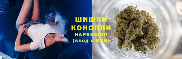 сатива Елабуга
