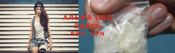 гашик Елизово