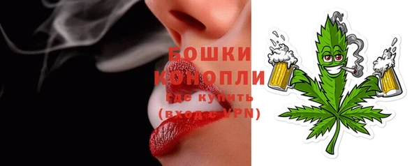 гашик Елизово