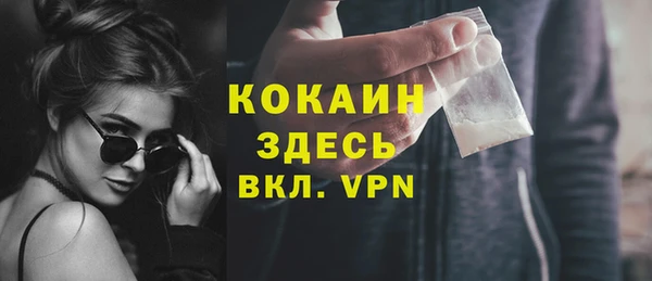 гашик Елизово