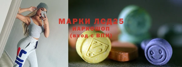 гашик Елизово