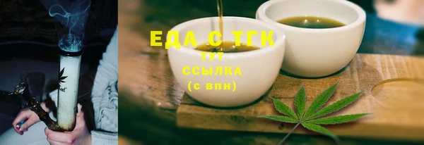 тгк Ельня