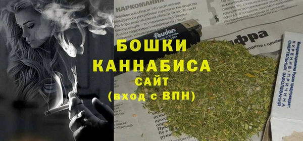 тгк Ельня