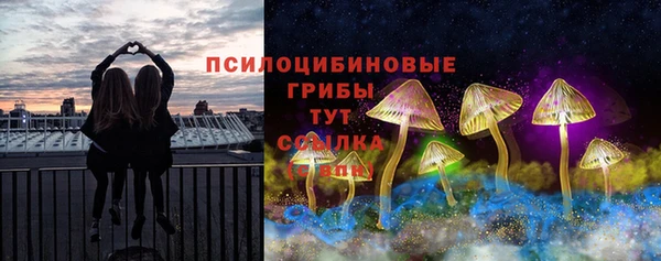 сатива Елабуга