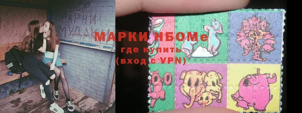 гашик Елизово