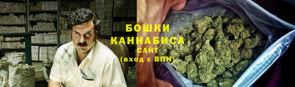 сатива Елабуга
