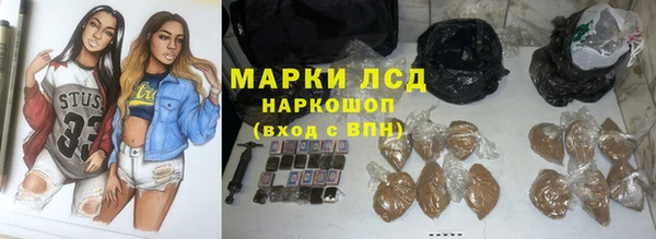 гашик Елизово