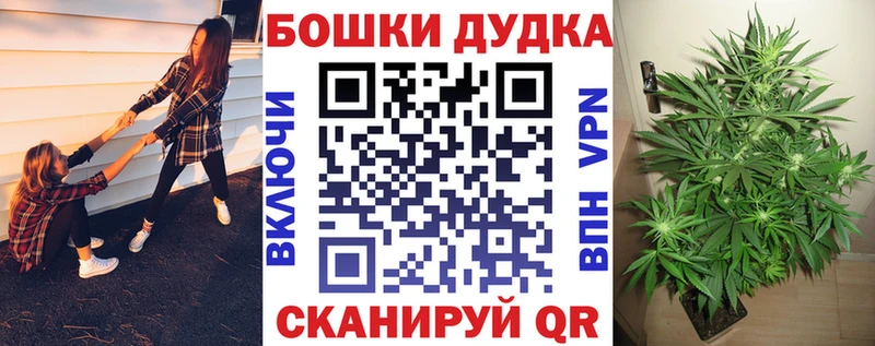 Канабис OG Kush  Купить закладки  Новокузнецк 